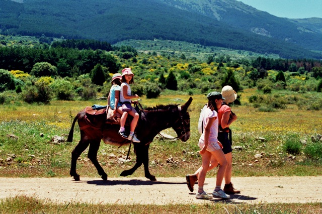 Wandelen met een ezel bij Segovia